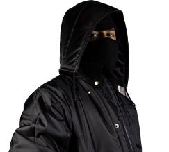 romakmaincategoriaspolar1